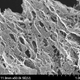 Illustration for article titled These New Graphene Supercapacitors Could Finally Power An Electric Car
